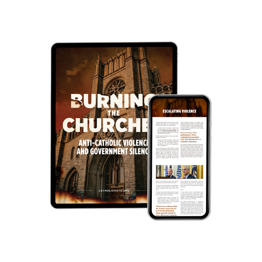 Burning the Churches (eBook)