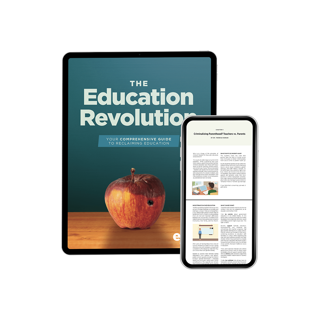 The Education Revolution (eBook)
