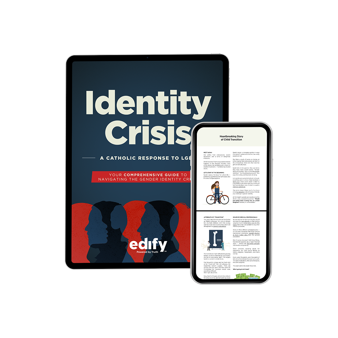 Identity Crisis: A Catholic Response to LGBT (eBook)