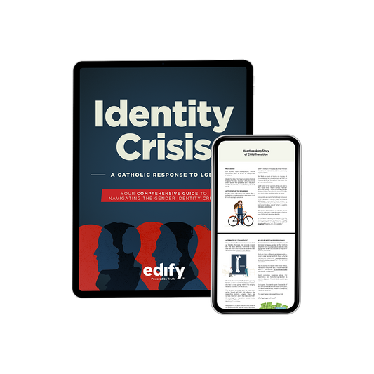 Identity Crisis: A Catholic Response to LGBT (eBook)