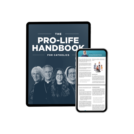 The Pro-Life Handbook for Catholics (eBook)